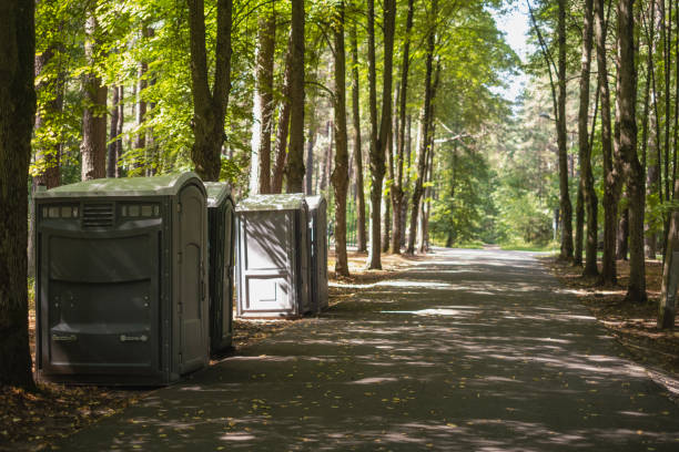 Best Sanitation services for porta potties  in Diamond Springs, CA